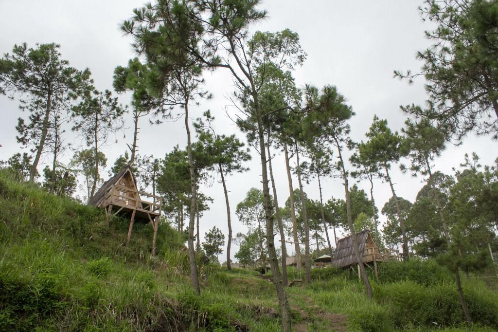 Papandayan Camping Ground Hotel Cileuleuy Zewnętrze zdjęcie