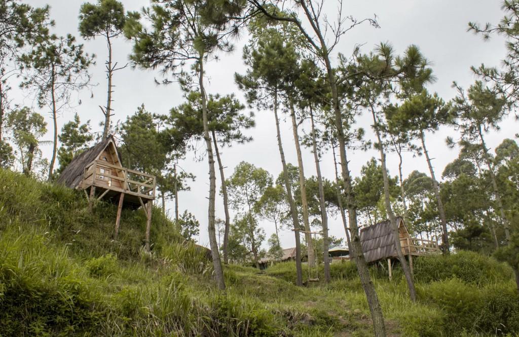 Papandayan Camping Ground Hotel Cileuleuy Zewnętrze zdjęcie