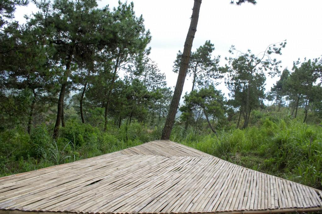 Papandayan Camping Ground Hotel Cileuleuy Zewnętrze zdjęcie
