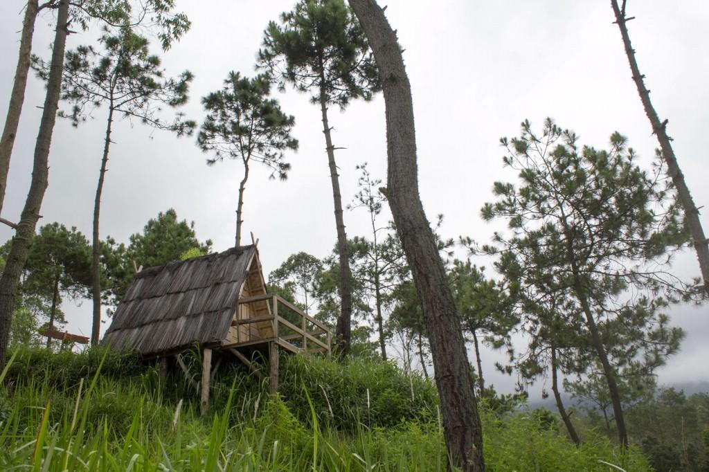 Papandayan Camping Ground Hotel Cileuleuy Zewnętrze zdjęcie