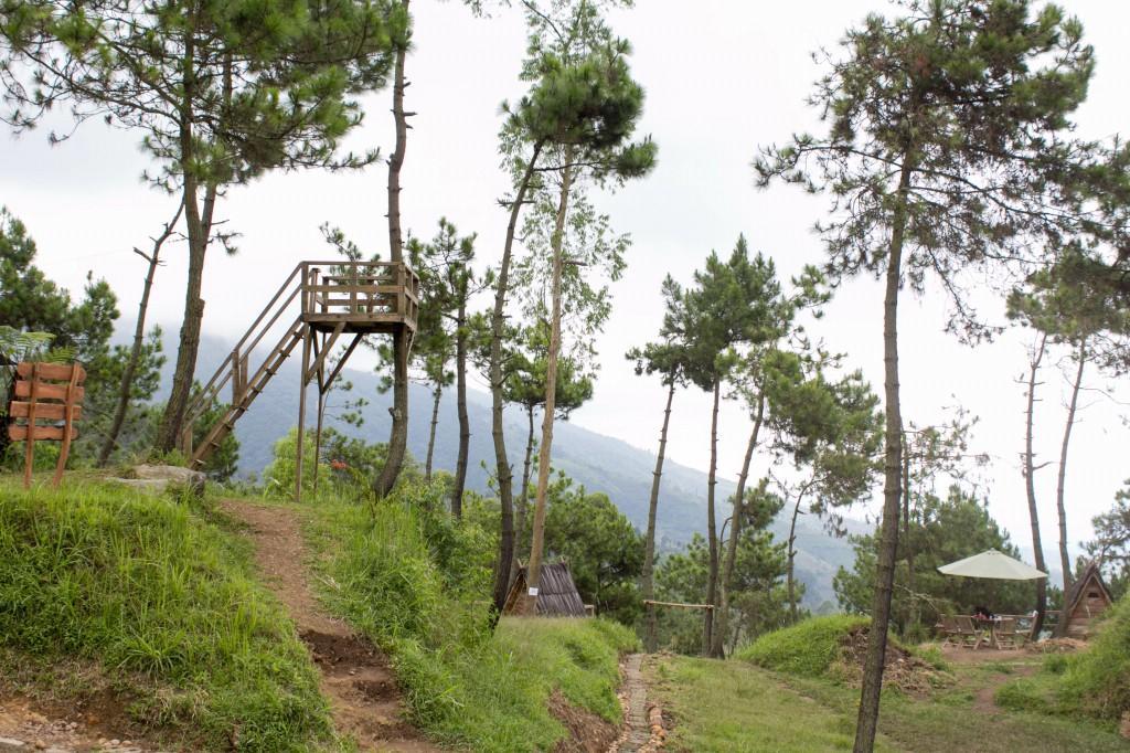 Papandayan Camping Ground Hotel Cileuleuy Zewnętrze zdjęcie