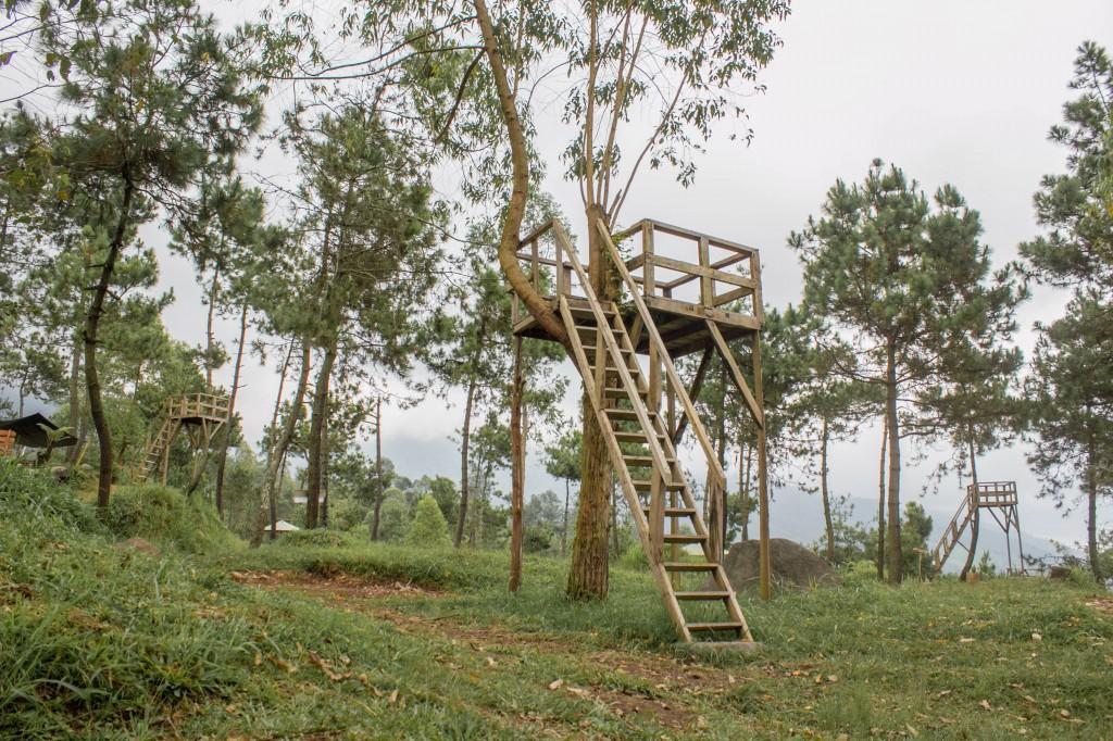 Papandayan Camping Ground Hotel Cileuleuy Zewnętrze zdjęcie