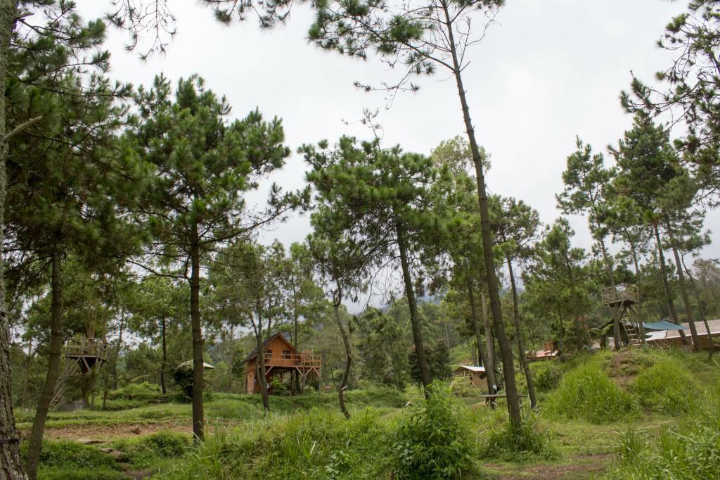Papandayan Camping Ground Hotel Cileuleuy Zewnętrze zdjęcie